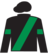 Hallside Hammer silks