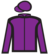 King Of The Jungle silks