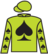 Acctories silks