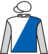 Glint Of Hope silks