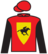 Circus Dancer silks