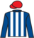 Covert Witness silks