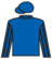Bizzi Too silks