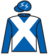 She's A Mission silks