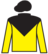Capitol Hill silks