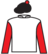 Raider Eightyeight silks