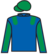 Tour Of Duty silks