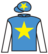 Lion's Instinct silks
