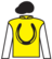 Tokyo Ice silks