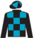 Skyler's Princess silks