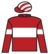 Skilled Artist silks