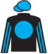 Sleepy's Girl silks