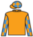 She's The Story silks