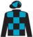 Skyler's Princess silks