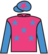 Greatham Boy silks