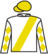 Stateswoman silks