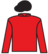 Rain Don silks