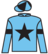 Silver Eagle silks