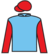 Ascot Express silks