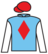 Reggie's Boy silks