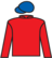 Snasybird silks