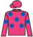 Camillus silks
