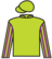 Valiant Spirit silks