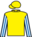 Blast silks