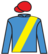 Hong Kong Fighter silks