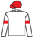 Frozen Prince silks