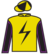 She's First Lady silks