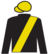 Hanlon Tiger silks