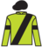 Bagger Chance silks