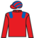 Circuit Judge silks