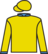 Leprechaun Lad silks
