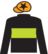 Elusive Tycoon silks