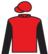Mr Conspiracy silks