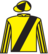 Olympic Gaze silks