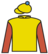 Centenary Shot silks