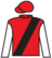 Back In Action silks