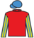 Mr Adjudicator silks