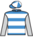 Champagne Wishes silks
