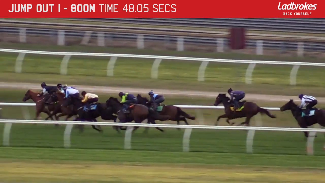 Sandown Jump Outs 30 August Jump out 1 Melbourne Racing Club