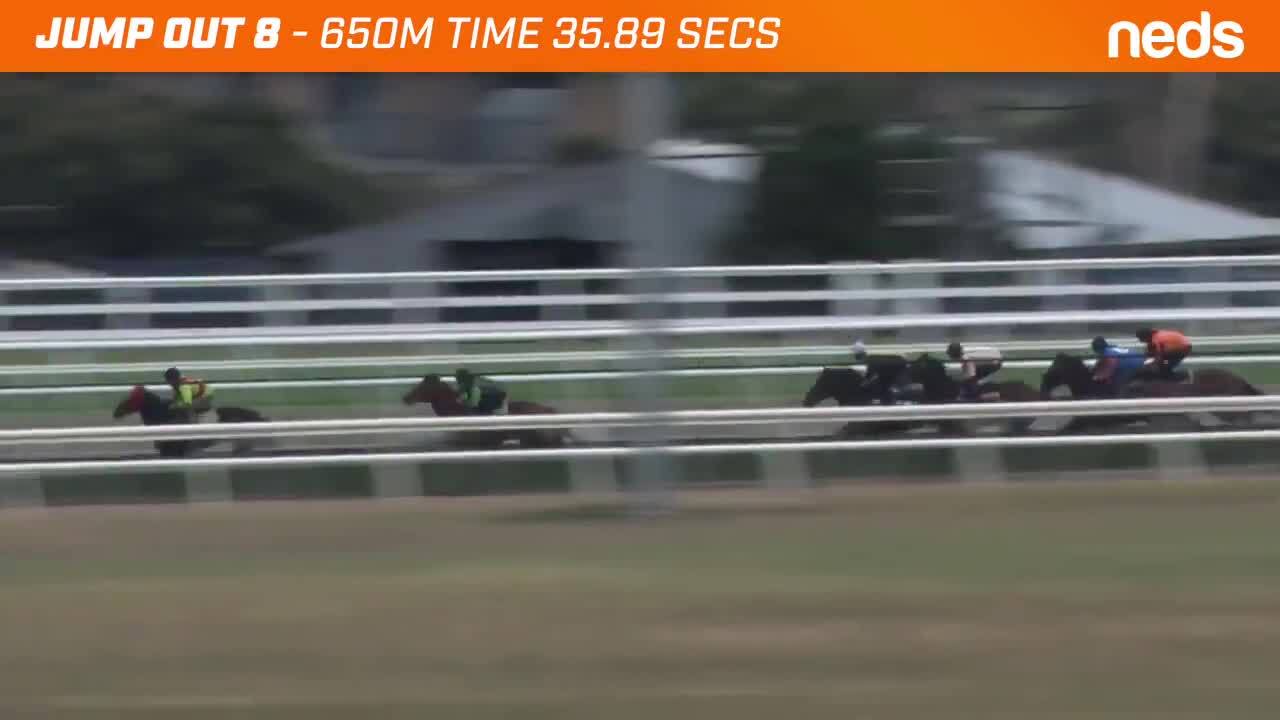 Mornington Jump Outs 5 Jan 2022 Jump Out 8 Melbourne Racing Club