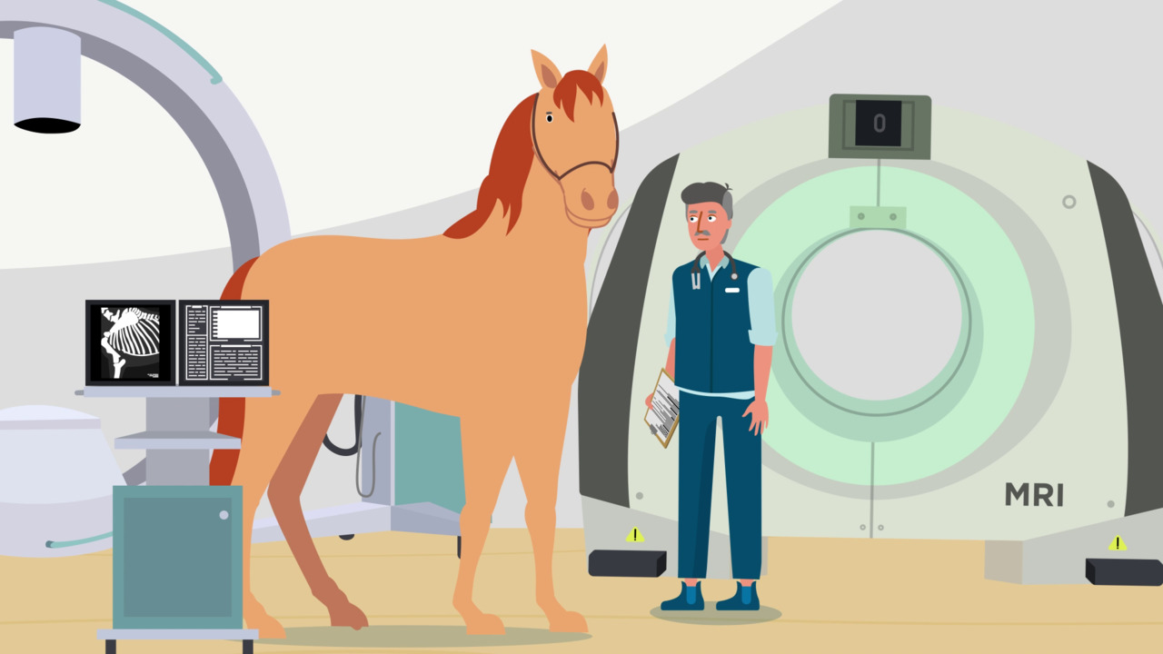 Racing Victoria Medicare For Horses Racing Victoria