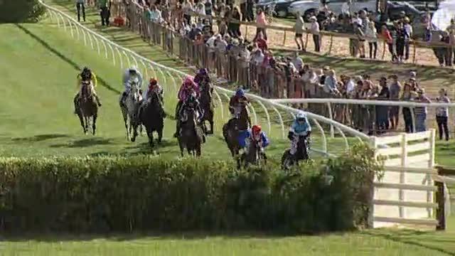 Jervois Nz Race Horse Profile Racing Com Compare available odds for upcoming race meetings, with live price updates oakbank wednesday betting odds. racing com