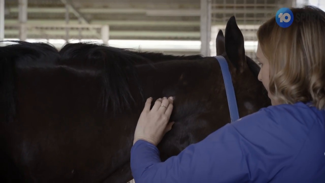 Equine Welfare Victoria Racing Club