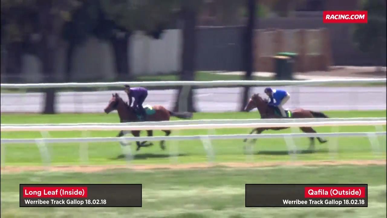 Diamond Pair Gallop At Werribee