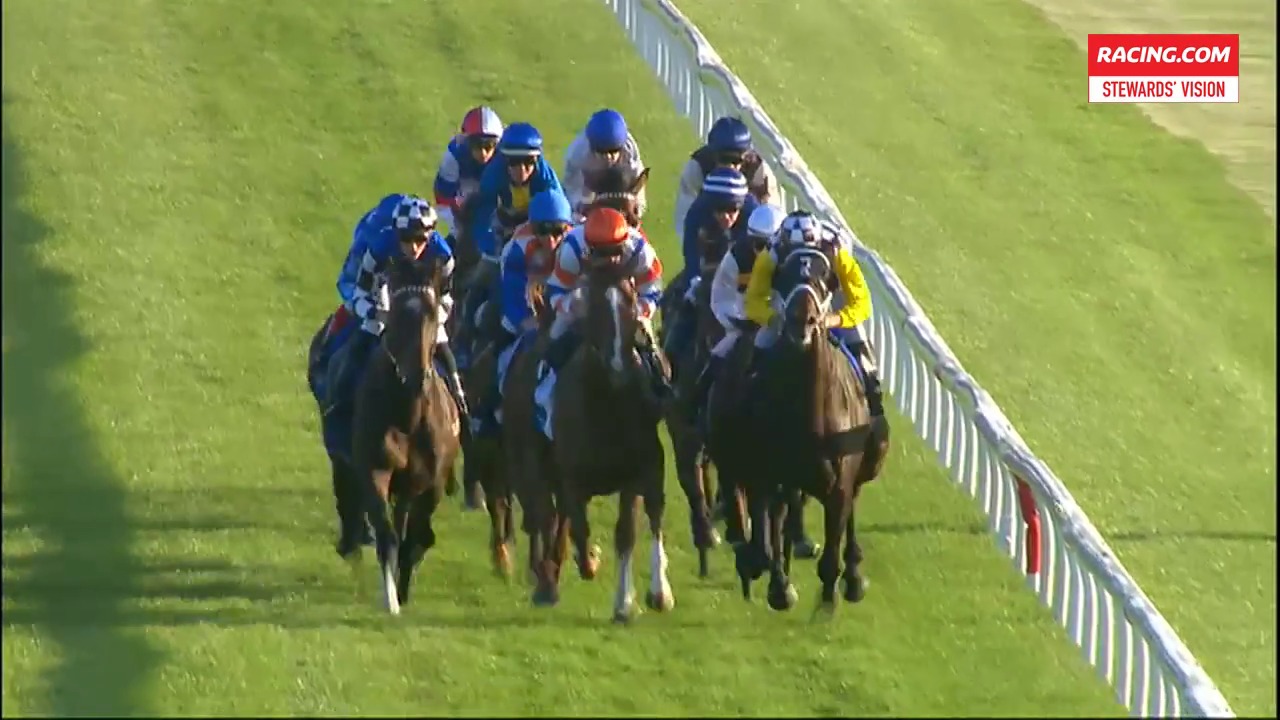 Sandown Race 08Stewards Vision230119