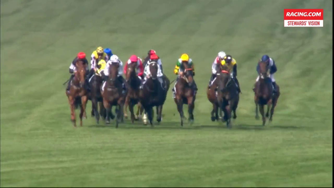 Flemington Race 08Stewards Vision160219